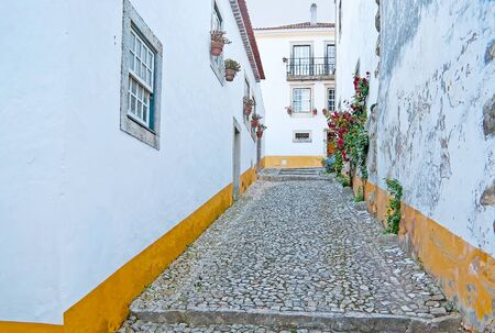 The medieval town consists of maze of narrow streets and old white buildings, decorated with flowers...