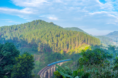 The passenger morning train runs along the Nine Arches Bridge, the main tourist attraction in town Ella, Sri Lankaのeditorial素材