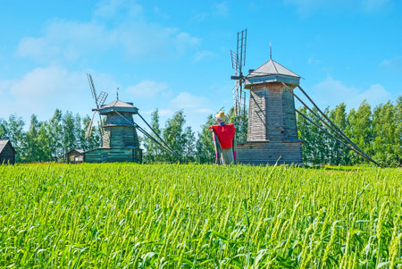 The old wooden windmills behind the field with green grain ears and colorful scarecrow, Wooden Architecture and Peasants' Life museum, Suzdal, Russia.のeditorial素材