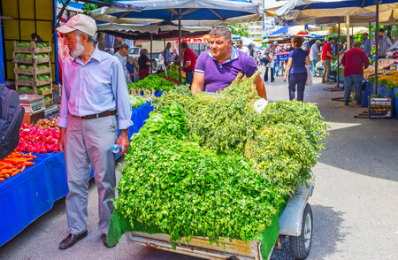 ANTALYA, TURKEY - MAY 12, 2017: The street vendor with large cart, full of fresh herbs and greens in Muratpasa Friday market, on May 12 in Antalya.のeditorial素材