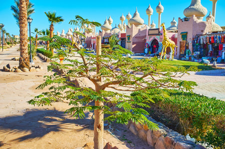 The young acacia tree in park of resort with beautiful pavilions of Alf leila wa leila (1001 nights) bazaar on the background, Sharm El Sheikh, Egypt.のeditorial素材