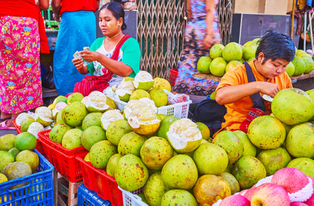 YANGON, MYANMAR - FEBRUARY 14, 2018: The market stall in Chinatown with large heaps of fragrant pomelo fruits, on February 14 in Yangon.のeditorial素材