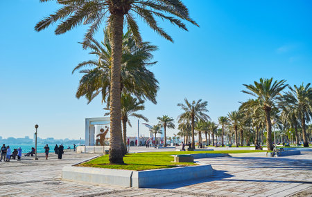 DOHA, QATAR - FEBRUARY 13, 2018: The rows of lush palm trees in park, located in Corniche promenade, stretching along the West Bay coast, on February 13 in Doha.のeditorial素材