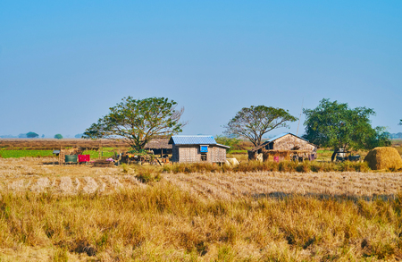 The small stilt houses in village of Bago Region with stubble field on the foreground, Myanmar.の写真素材