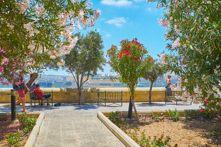 VALLETTA, MALTA - JUNE 17, 2018: The blooming rhododendrons decorate the Lower Barrakka Gardens,...