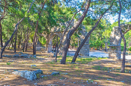 The ruins of ancient aqueduct, preserved in Phaselis archaeological site and surrounded by curved pines, Tekirova, Turkey.のeditorial素材