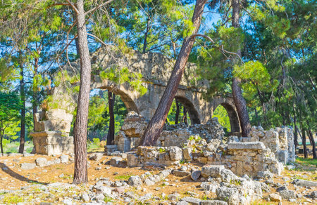 Walk the shady path of Phaselis archaeological site, covered with coniferous forest, hidding the ancient aqueduct, Turkey.のeditorial素材