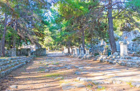 The shady main road (naval harbor road) of antique Roman city of Phaselis with ruins of stone wall and columns on both sides, Tekirova, Turkey.のeditorial素材