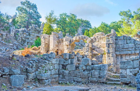 The ruins of Domitian Agora in Phaselis archaeological site, Tekirova, Turkeyのeditorial素材