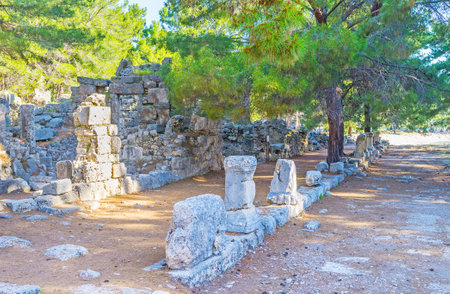 The antique ruins of Agora among the lush pines of Phaselis archaeological site, situated at modern Tekirova, next to Kemer resort, Turkey.のeditorial素材