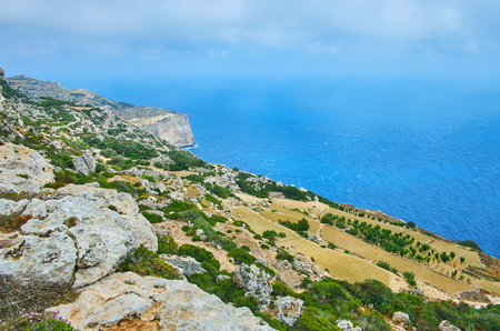 The small area of terrace fields occupies the rocky coast of Maltese Dingli Cliffs.の写真素材