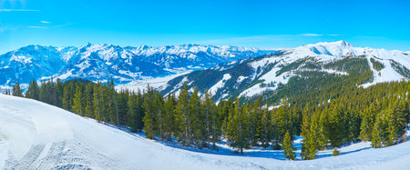 Panorama of the lush spuce forest on the snowy slope of Schmittenhohe mount with a view on sharp peak of Kitzsteinhorn mount of Kaprun resort, Zell am See, Austriaのeditorial素材