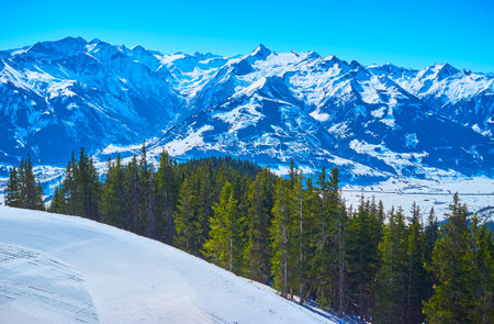 Watch the famous Kitzsteinhorn mount of Kaprun resort with sharp peak and gentle slopes, covered with snow; the lush conifeous forest is seen on the foreground, Schmitten mount, Zell am See, Austriaのeditorial素材