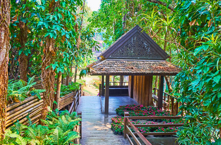 The green shady alley of Mae Fah Luang garden with flower beds, ferns, tall trees and pavilion, Doi Tung, Thailandのeditorial素材