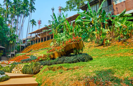 Mae Fah Luang garden is perfect place to relax and take a walk around perfectly landscaped area, located in mountains of Doi Tung, Thailandのeditorial素材