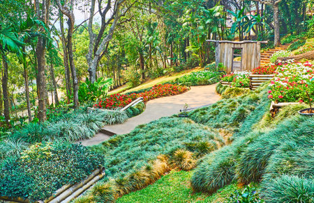 Mae Fah Luang garden is located on the mountain slope and boasts interesting terrace flower beds, including different ornamental grasses, Doi Tung, Thailandのeditorial素材