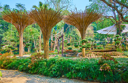 The green alley of Mae Fah Luang garden is decorated with fern fence, trimmed trees and bamboo sunshades with hanging plants in pots, Doi Tung, Thailandのeditorial素材