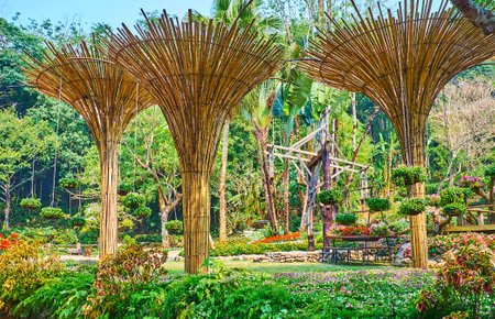 The beautiful bamboo umbrellas decorate the Mae Fah Luang garden and create the shade for the plants in pots, hanging on the ropes, Doi Tung, Thailandのeditorial素材