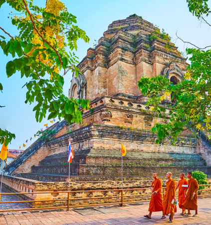CHIANG MAI, THAILAND - MAY 2, 2019: The ruins of Phra That Chedi Luang of Wat Chedi Luang complex with walking Bhikkhu monks and branches of blooming golden shower tree on the foreground, on May 2 in Chiang Maiのeditorial素材