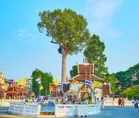 CHIANG MAI, THAILAND - MAY 2, 2019: The shady square in Wat Chedi Luang Buddhist complex with circle rest zone, decorated with flags and tall dipterocarp tree (spirit, guardian tree) on background, on May 2 in Chiang Maiのeditorial素材