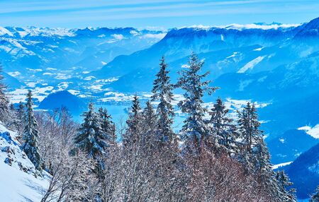 The stunning hazy Alpine scenery with a view on Wolfgangsee lake valley behind the winter forest on slope of Zwolferhorn mount, covered with glaze ice and hoarfrost, St Gilden, Salzkammergut, Austriaの写真素材