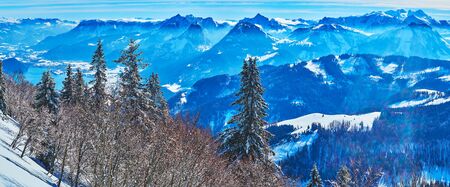 Enjoy the scenic spruce forest, covered with white frost and watch fantastic Alpine landscape from the top of Zwolferhorn mount, St Gilden, Salzkammergut, Austriaの写真素材