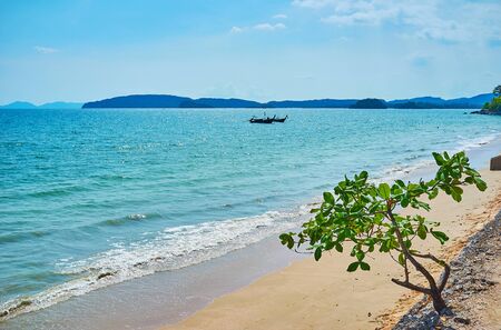 Watch the gentle tide along the Ao Nang beach with golden sandy shoreline and small green tree on the foreground, Krabi, Thailandの写真素材