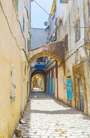 Visit medieval Medina of Bizerte, walk its shabby streets with extant arched passes, small houses, narrow alleys and numerous cats, walking and lying in shade, Tunisiaの写真素材