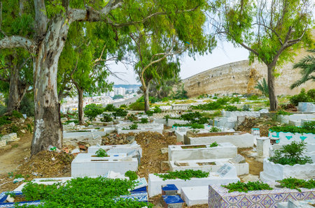 BIZERTE, TUNISIA - SEPTEMBER 4, 2015: The shady alley of old Muslim cemetery and the wall of Kasbah fortress on the background, on September 4 in Bizerteのeditorial素材