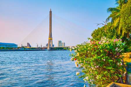 BANGKOK, THAILAND - APRIL 24, 2019: Enjoy the evening in Santi Chai Prakan riverside park with a view on Chao Phraya river, Rama XIII bridge and blooming bougainvillea bushes, on April 24 in Bangkokのeditorial素材