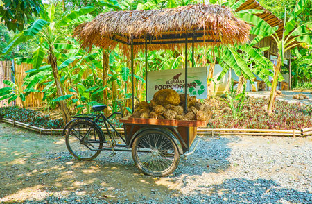 CHIANG MAI, THAILAND - MAY 5, 2019: The vintage cargo bicycle with elephant poop in cart and palm leaf canopy stands in alley of Poopoopaper park, on May 5 in Chiang Maiのeditorial素材