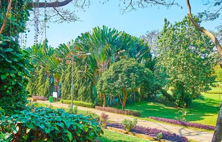Theingottara park is perfect place to enjoy tropical greenery, relax in shade and have a picnic,...