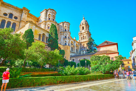 MALAGA, SPAIN - SEPTEMBER 26, 2019: The scenic topiary garden with lush green trees in front of huge medieval Malaga Cathedral, on September 26 in Malagaのeditorial素材