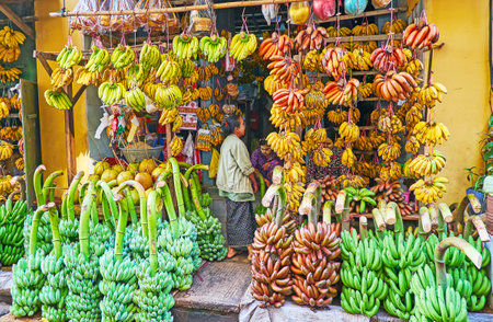 YANGON, MYANMAR - FEBRUARY 17, 2018:  The Chinatown market stall specializes on bananas, offering yellow, red and green fruits and large bunches, on February 17 in Yangonのeditorial素材