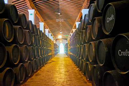 JEREZ, SPAIN - SEPTEMBER 20, 2019: Visit wine museum of Bodegas Tio Pepe winery with hundreds of stacked oak casks with fine sherry wine, on September 20 in Jerezのeditorial素材