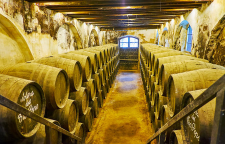 JEREZ, SPAIN - SEPTEMBER 20, 2019: The vintage cellars of Bodega Solera 1847 of Tio Pepe winery with two rows of stacked Sherry casks, on September 20 in Jerezのeditorial素材