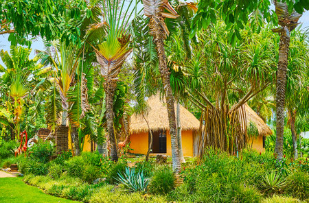 The lush palm trees, bushes and tall grasses hide the tribal huts of traditional Mauritania garden in Rajapruek park, Chiang Mai, Thailandのeditorial素材