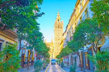 SEVILLE, SPAIN - OCTOBER 1, 2019: The pleasant walk along historical Mateos Gago street under the shade of the trees towards Giralda of Cathedral, on October 1 in Sevilleのeditorial素材
