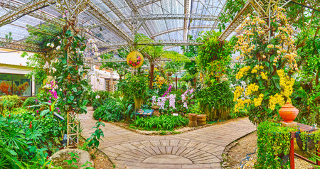 CHIANG MAI, THAILAND - MAY 7, 2019: Panorama of the glasshouse of orchid garden in Rajapruek park, that boasts fine flower collection, on May 7 in Chiang Maiのeditorial素材