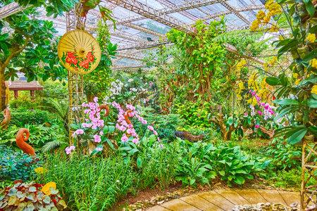 Walk the glasshouse and explore different species of orchid flowers of Rajapruek park, Chiang Mai, Thailandのeditorial素材