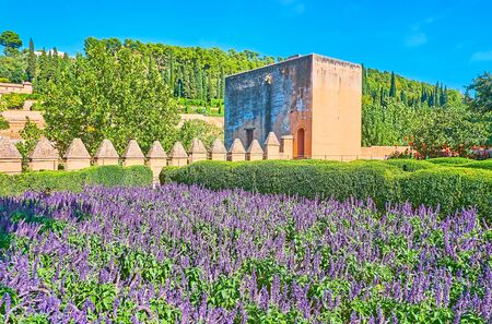 The scenic Alhambra garden with topiary bushes and flower bed of ultra violet salvia (sage)...