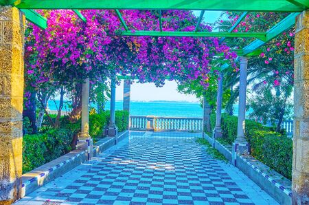 The  lush alley in Alameda Apodaca and Marques de ComillasGardens in Cadiz is leading to the shore of Atlantic Ocean with pedestrian promenade on medieval bastion, Spainの写真素材