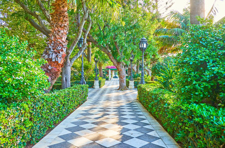 Walk the alley of Paseo de Carlos III garden with chessboard pattern floor, topiary bushes, shady trees and retro lanterns, Cadiz, Spainのeditorial素材