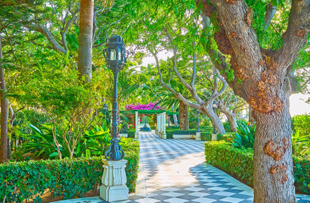 The scenic green garden of Paseo de Carlos III is perfect place for the day walk, relax in shade, enjoy variety of plants and landscaping, Cadiz, Spainのeditorial素材