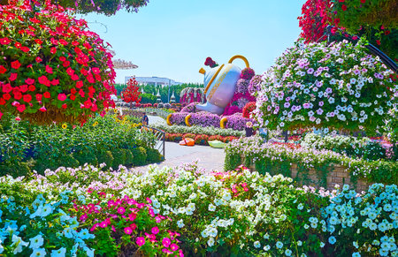DUBAI, UAE - MARCH 5, 2020: The pleasant Miracle Garden alley with a view on teapot installation and lush and colorful petunia flowers, on March 5 in Dubaiのeditorial素材