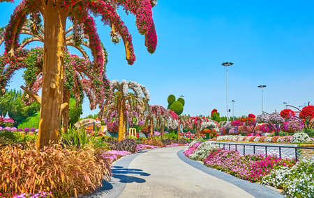 DUBAI, UAE - MARCH 5, 2020: Walk the curved alley and enjoy the landscaping of Miracle Garden with petunia and marigold flower beds, palm trees, covered with living flowers, on March 5 in Dubaiのeditorial素材