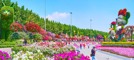 DUBAI, UAE - MARCH 5, 2020: Panorama of Miracle Garden with colorful flower beds, hanging plants in pots, big installations of Disney cartoon characters and animals, on March 5 in Dubaiのeditorial素材