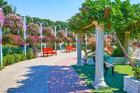 DUBAI, UAE - MARCH 5, 2020: Walk the alley of Miracle Garden, richly decorated with colorful petunias, hanging from the poles, on March 5 in Dubaiのeditorial素材