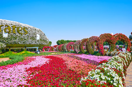 DUBAI, UAE - MARCH 5, 2020: Amazing flower beds of colored petunias and heart-shaped arches decorate the Miracle Garden, on March 5 in Dubaiのeditorial素材