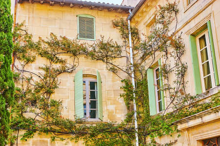 The vintage stone mansion with wooden shutters on windows and twisted grape vines and roses, climbing up the wall, Tarascon, Franceの写真素材